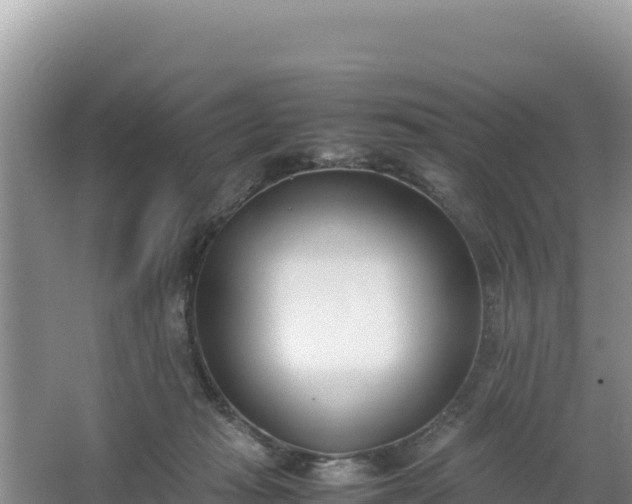 X0000067340269200604071359