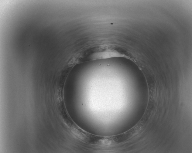 X0000067340272200604071359