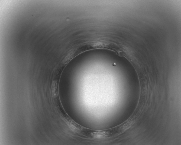 X0000067340273200604071359