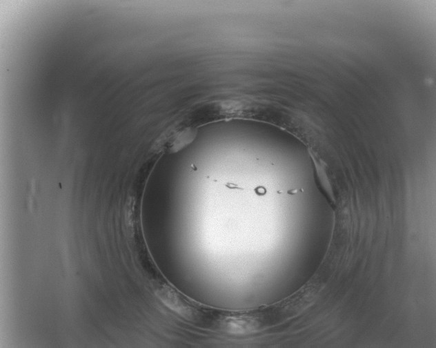 X0000067340275200604071359