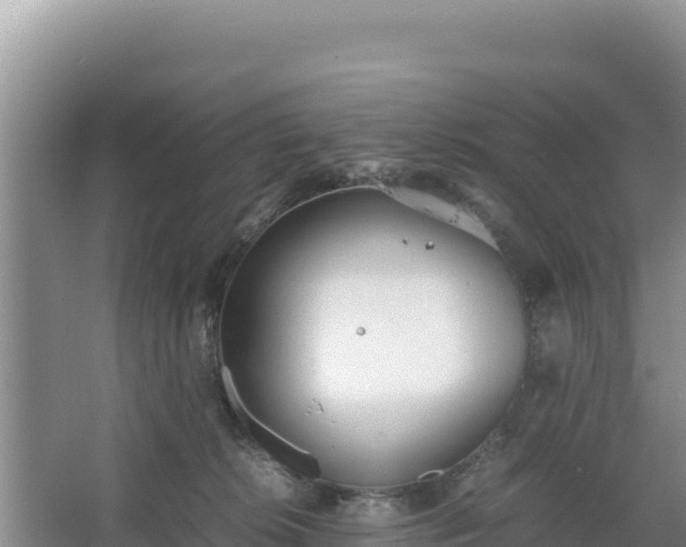 X0000067340276200604071359