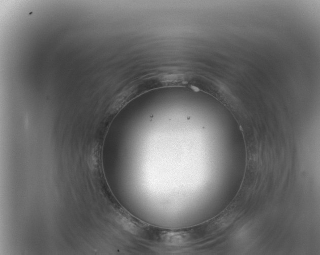 X0000067340277200604071359