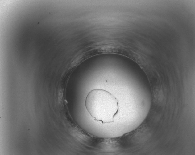 X0000067340278200604071359