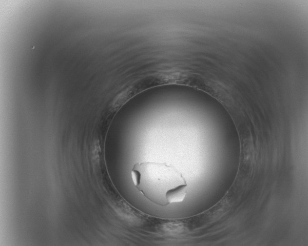 X0000067340279200604071359