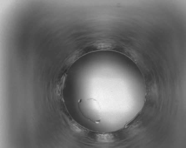 X0000067340281200604071359