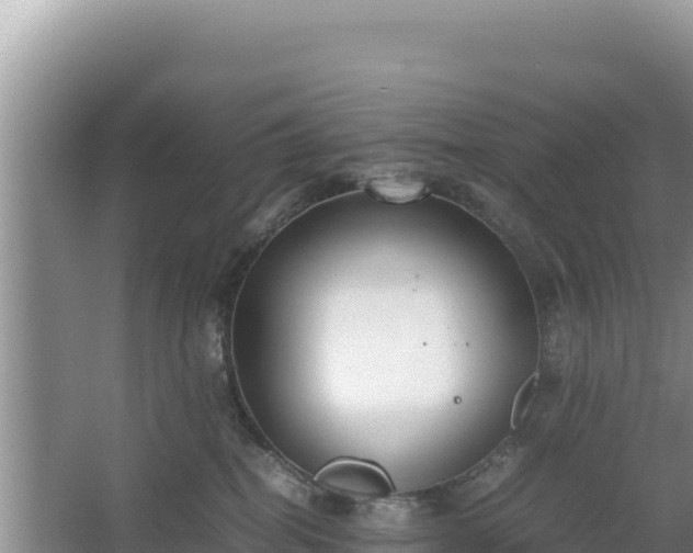 X0000067340282200604071359