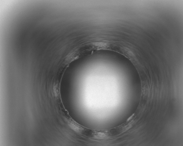 X0000067340285200604071359