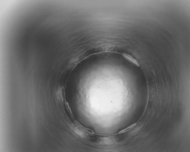 X0000067340286200604071359