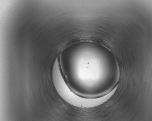 X0000067340287200604071359