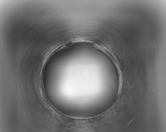 X0000067340289200604071358