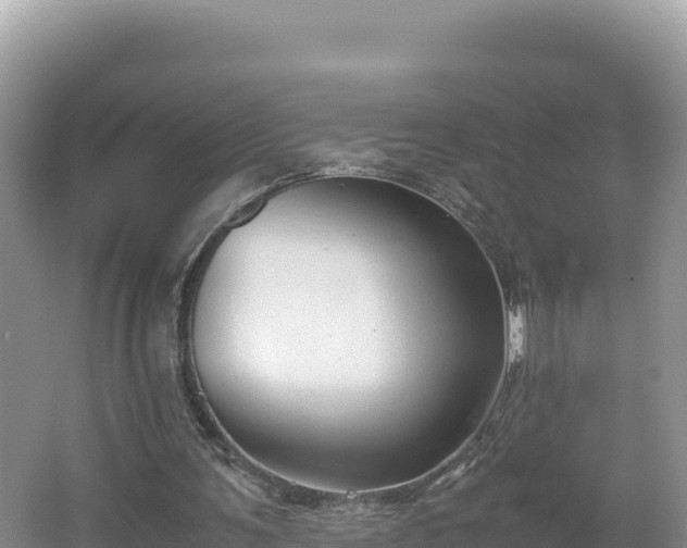 X0000067340291200604071358