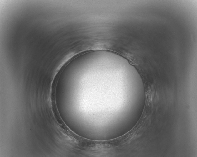 X0000067340292200604071358