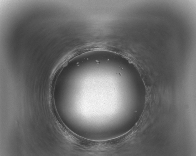 X0000067340293200604071358