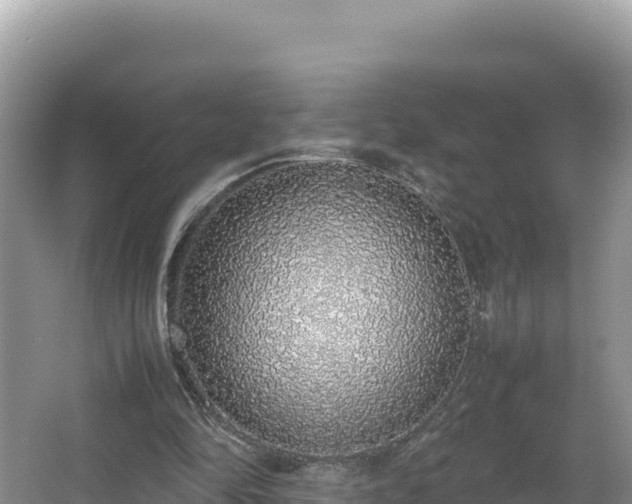 X0000067340294200604071358