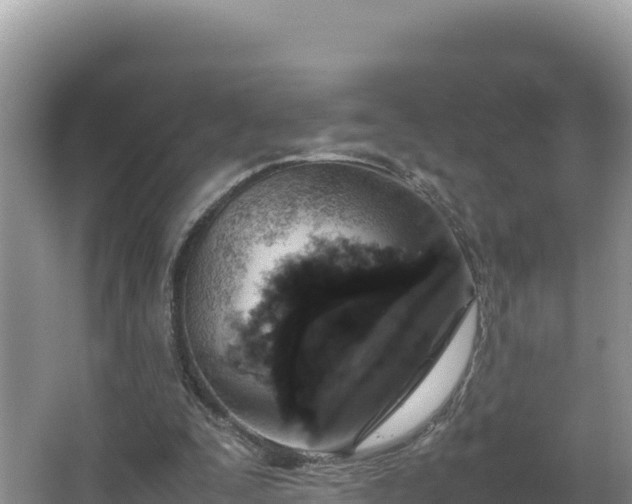 X0000067340295200604071358