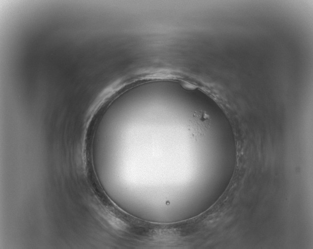 X0000067340296200604071358