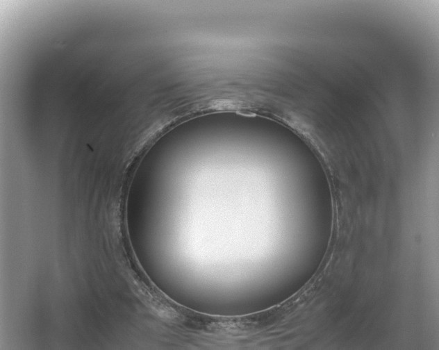 X0000067340297200604071358