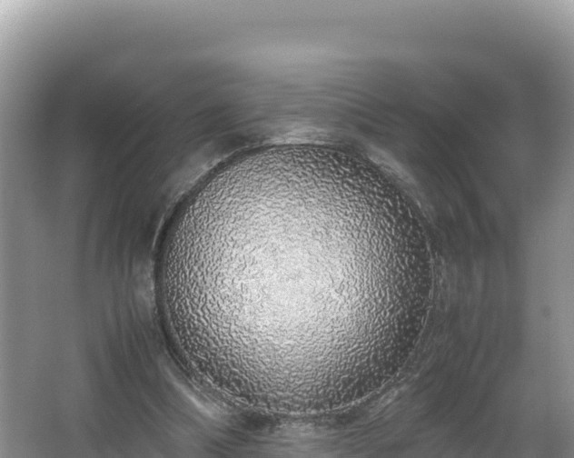 X0000067340298200604071358