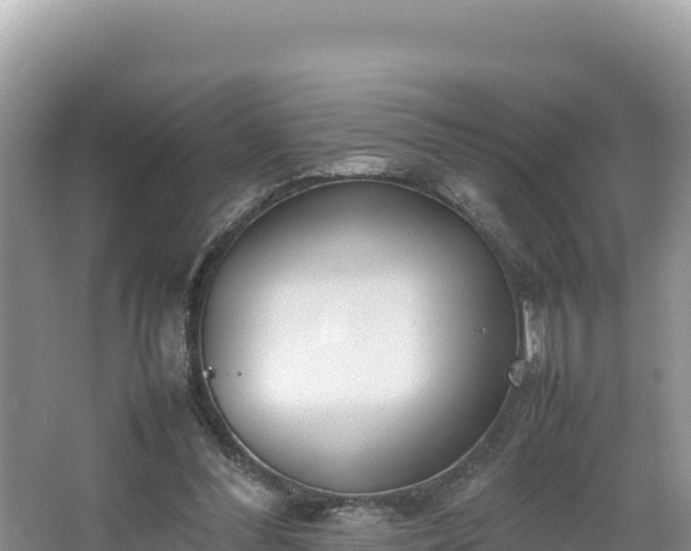 X0000067340300200604071358