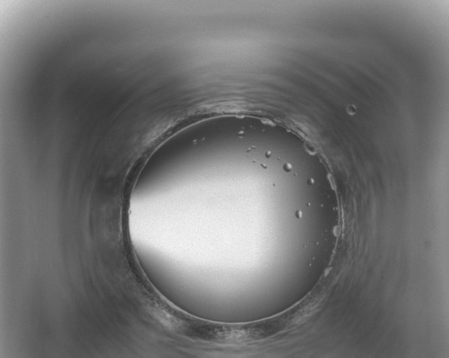 X0000067340301200604071358