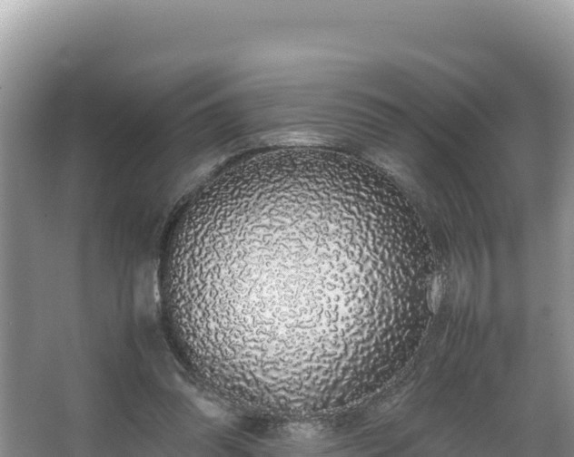 X0000067340302200604071358