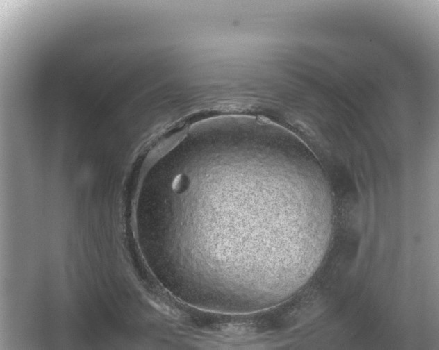 X0000067340303200604071358