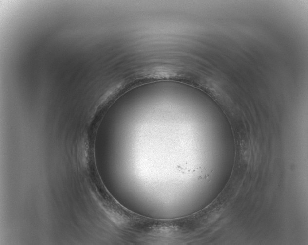 X0000067340304200604071358