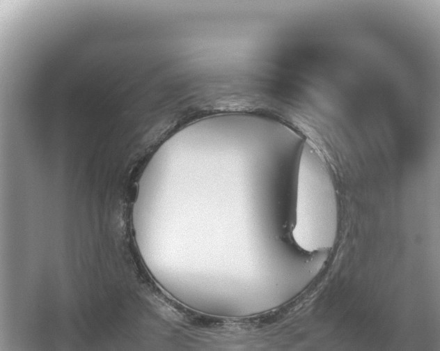 X0000067340305200604071358