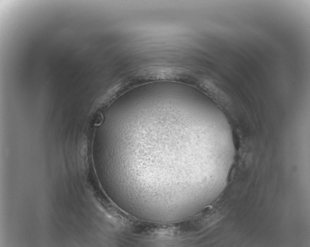 X0000067340306200604071358