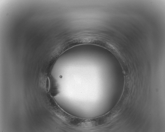 X0000067340307200604071358