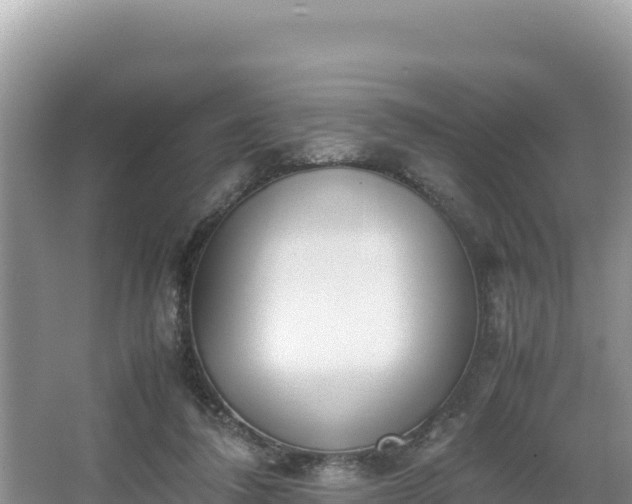 X0000067340308200604071358