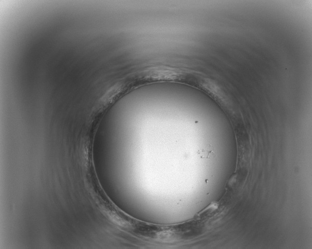 X0000067340309200604071358