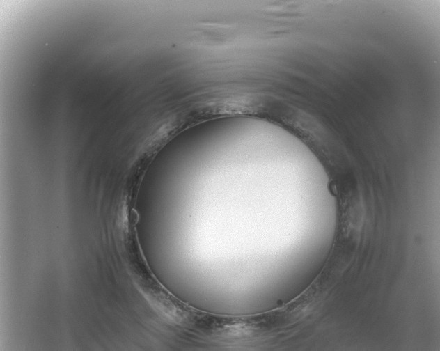 X0000067340310200604071358