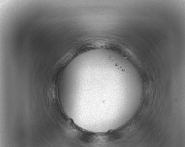 X0000067340313200604071358