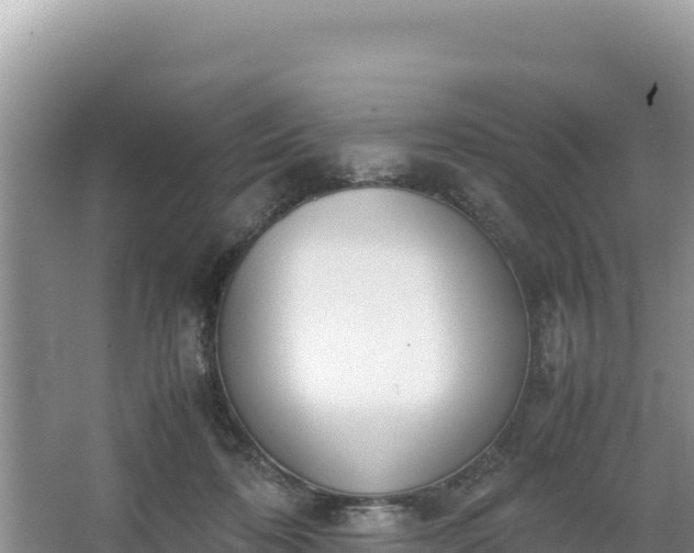 X0000067340316200604071358