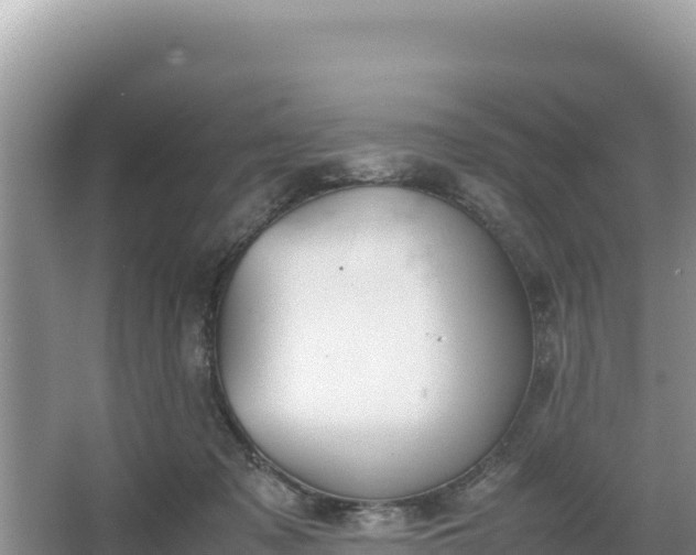 X0000067340317200604071358