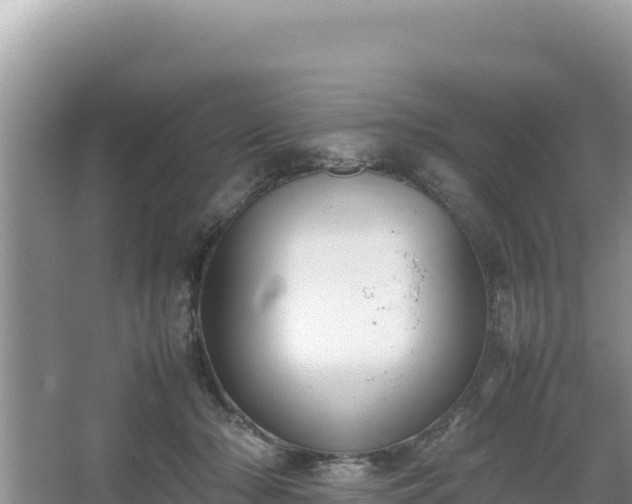 X0000067340318200604071358