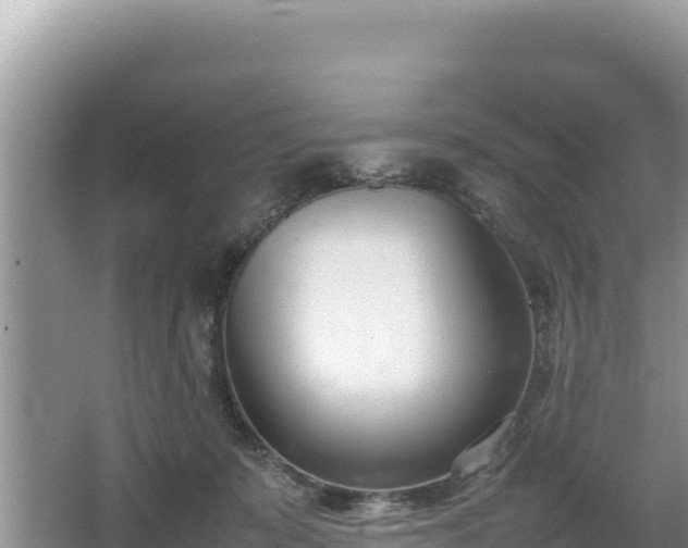 X0000067340319200604071358