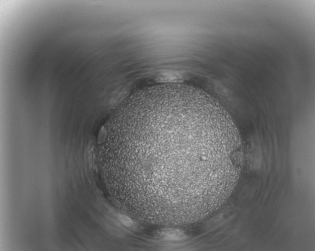 X0000067340322200604071358