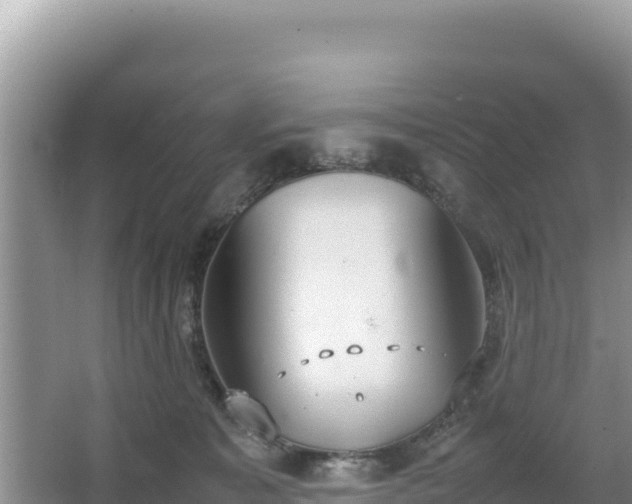 X0000067340323200604071358