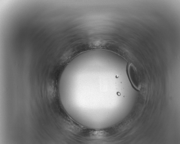 X0000067340324200604071358