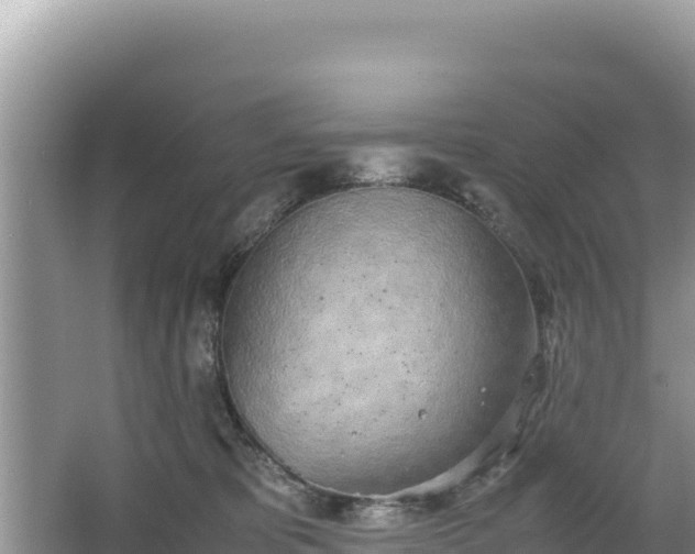 X0000067340325200604071358