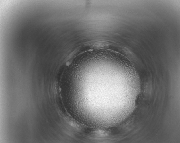 X0000067340326200604071358