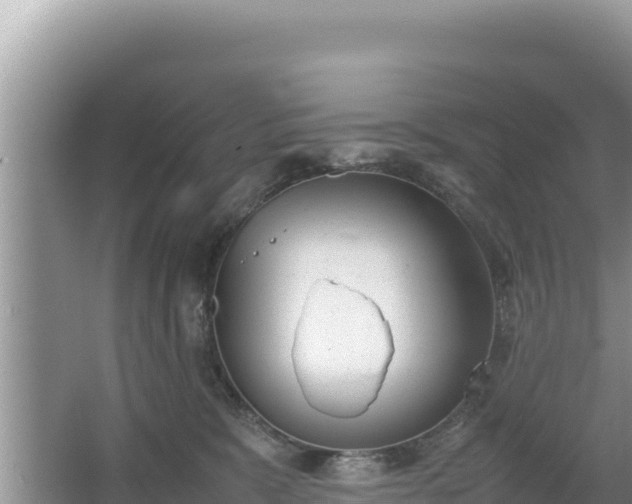 X0000067340327200604071358