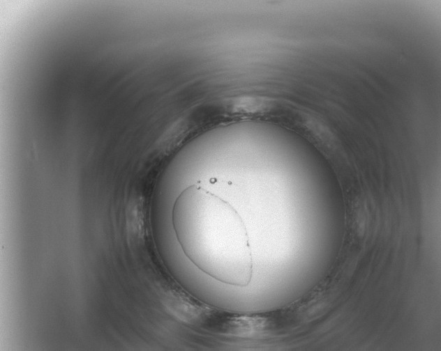 X0000067340328200604071358