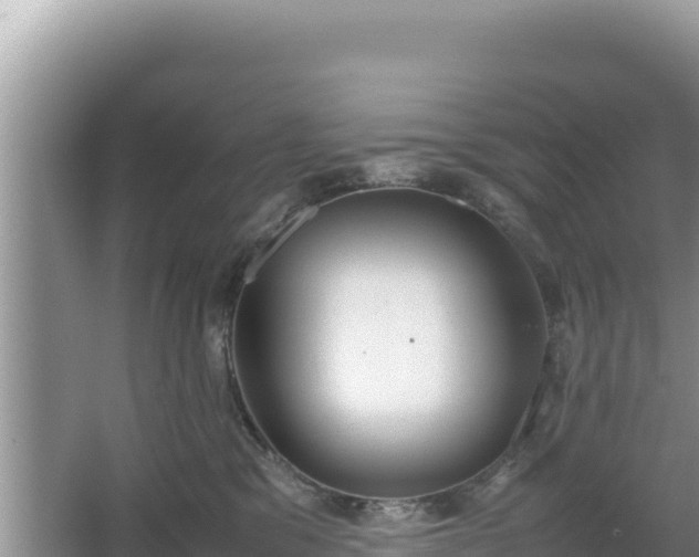 X0000067340329200604071358