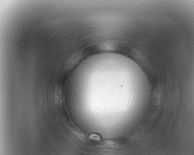 X0000067340330200604071358