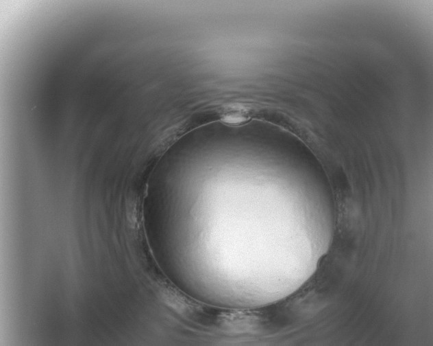 X0000067340331200604071358