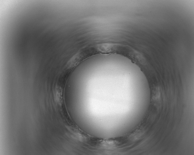 X0000067340332200604071358