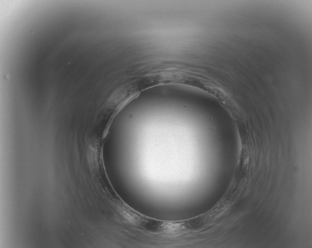 X0000067340333200604071357